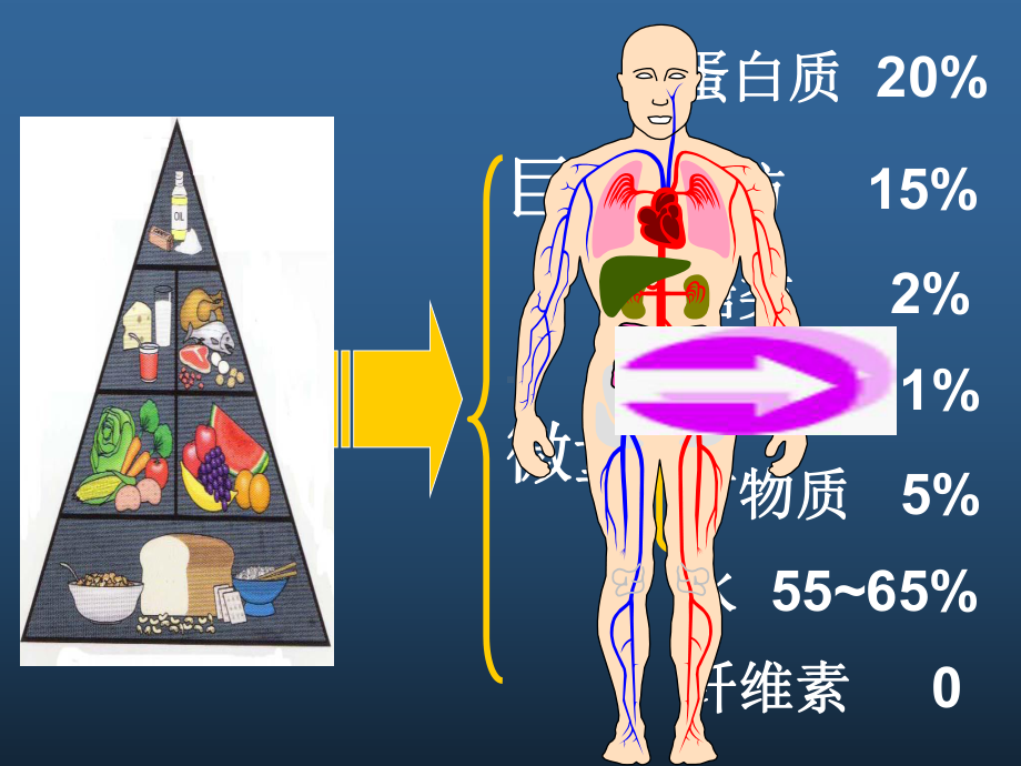 七大营养素-营养-ppt课件.pptx_第3页