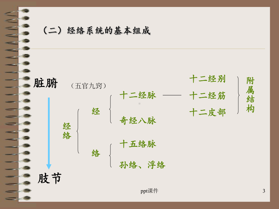 《经络学说》十四经脉-ppt课件.ppt_第3页