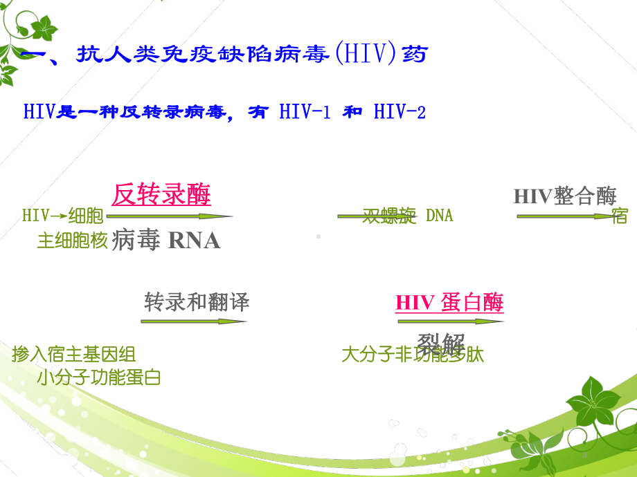 《药理学》抗病毒药和抗真菌药-ppt课件.ppt_第3页