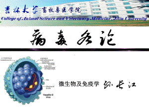 （大学课件）畜牧微生物学-畜牧微生物病毒学各论.ppt