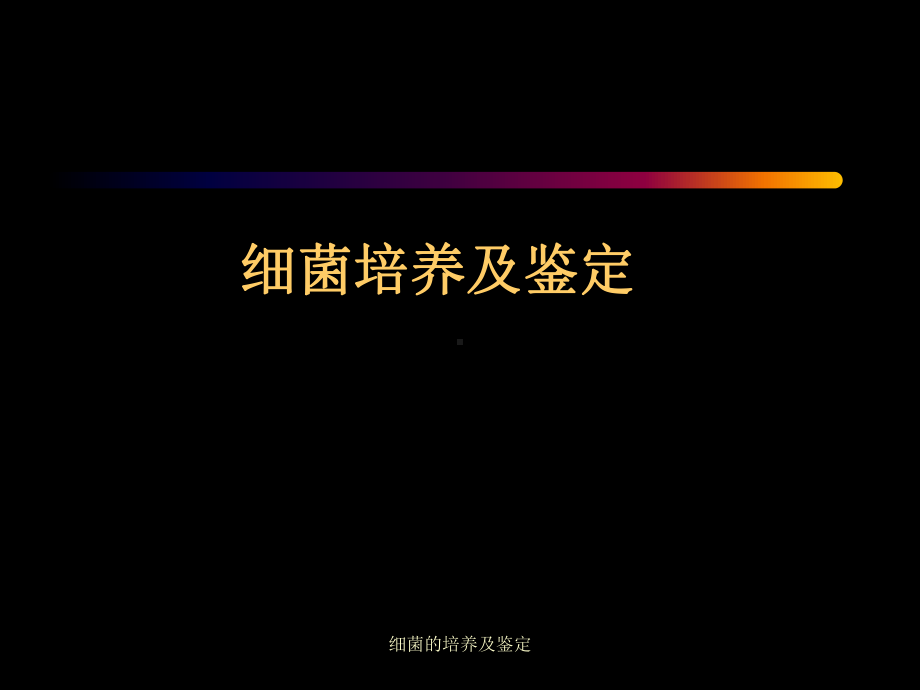 细菌的培养及鉴定-ppt课件.ppt_第1页