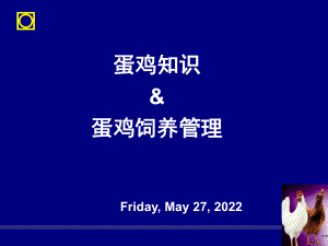 正大蛋鸡知识培训ppt课件.ppt