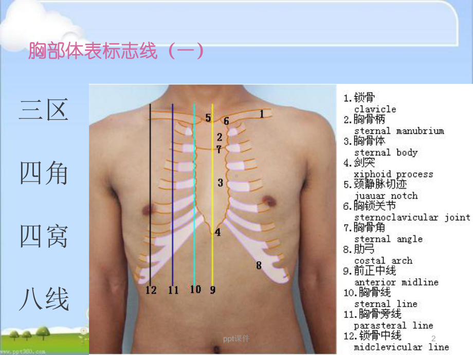 肺部查体-ppt课件.ppt_第2页