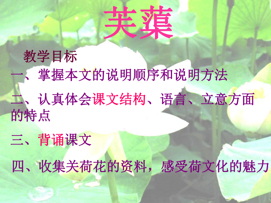 《芙蕖》课件.ppt_第2页