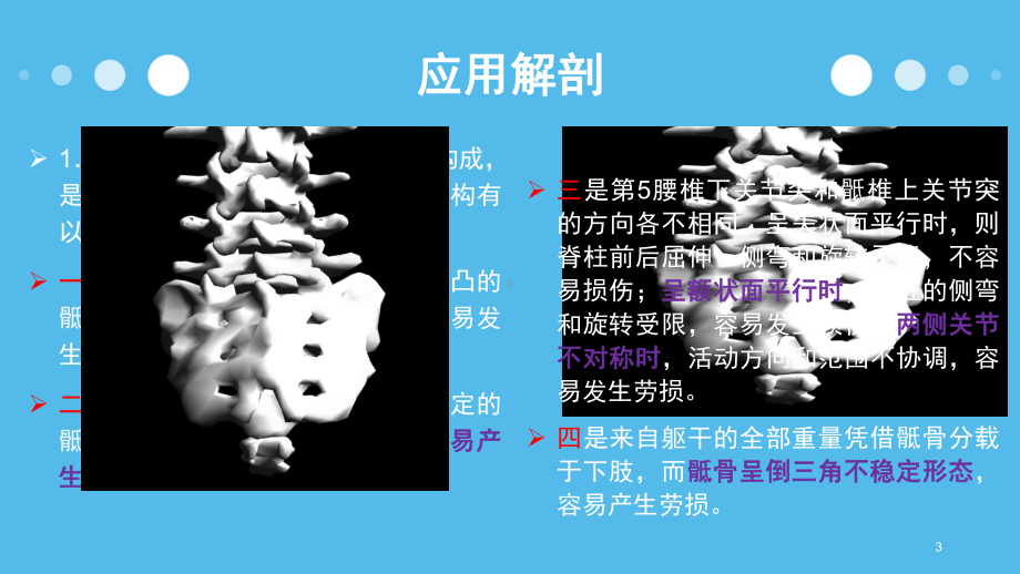 腰骶部劳损PPT课件.pptx_第3页