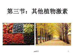 其他植物激素(公开课)-ppt课件.ppt