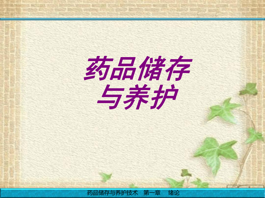 药品储存与养护培训课件.ppt_第1页