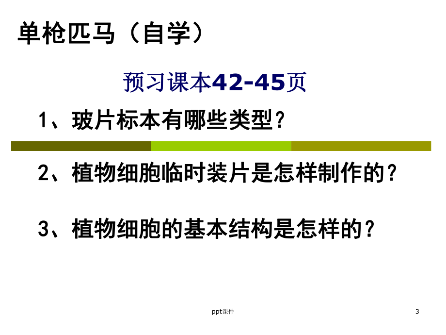 植物细胞-ppt课件.ppt_第3页