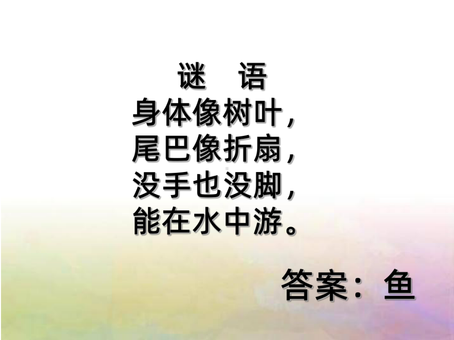 科学课：美丽的鱼PPT课件.ppt_第2页