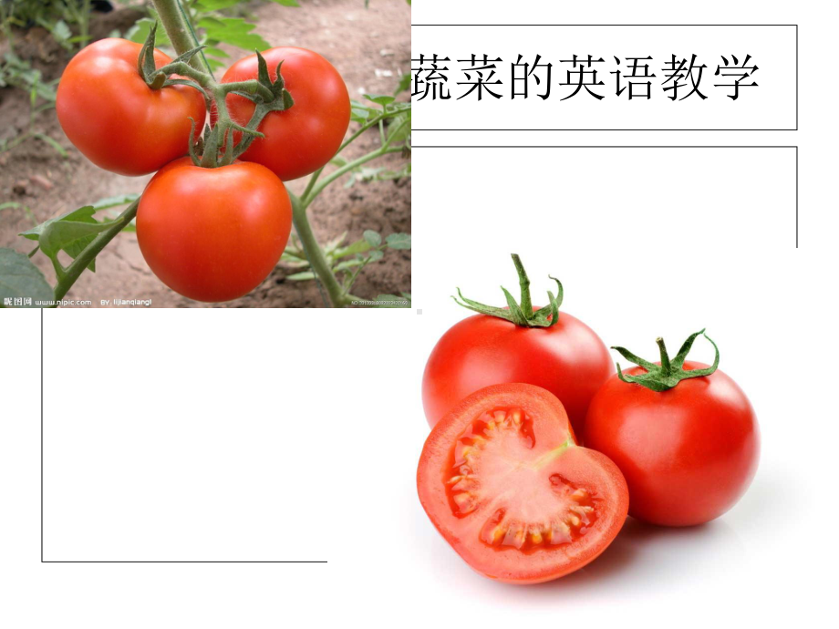 vegetable关于蔬菜的英语教学-ppt课件.ppt（无音视频）_第3页