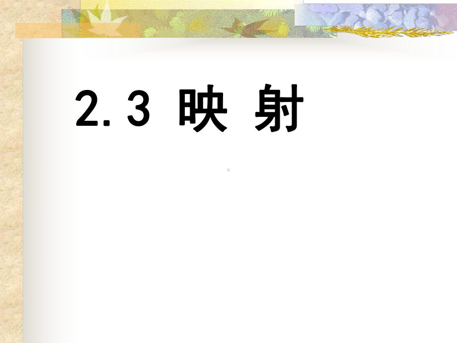 (北师大版全国优秀课件)2.3.1映射.ppt_第1页