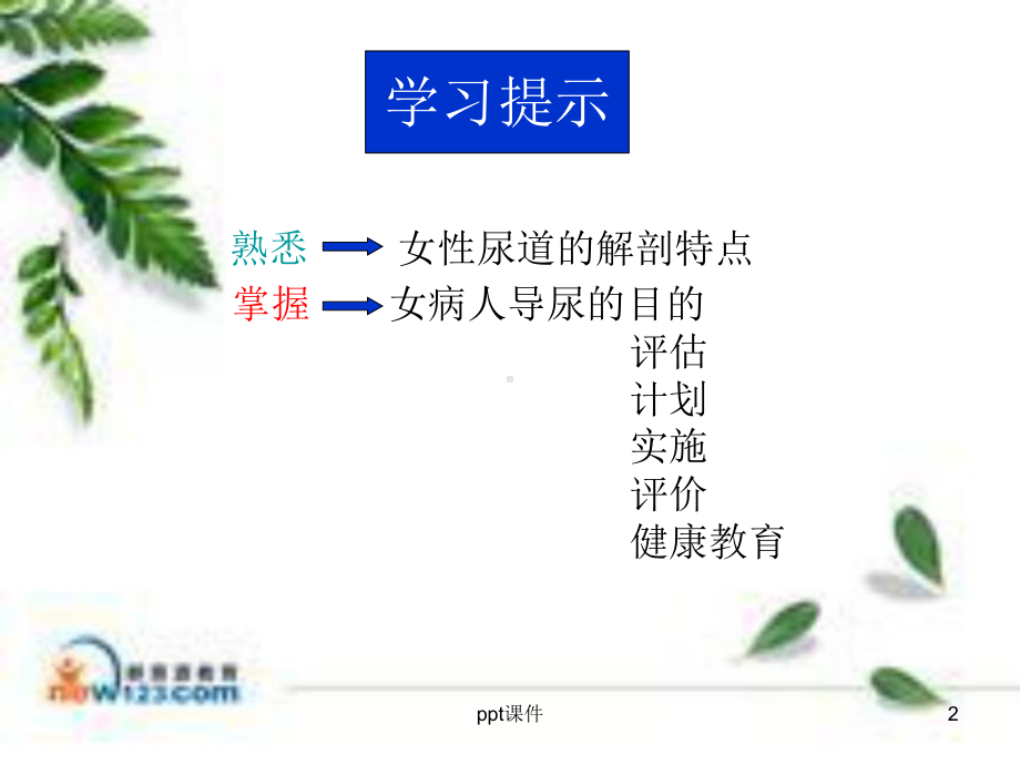 女病人留置导尿术-ppt课件.ppt_第2页