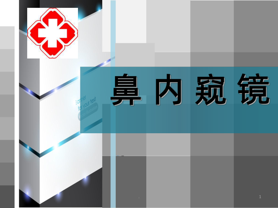 鼻内窥镜PPT课件.ppt_第1页