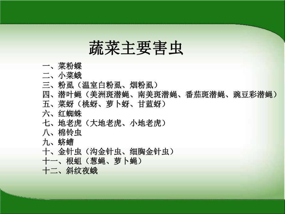 蔬菜常见害虫防治课件.ppt_第2页