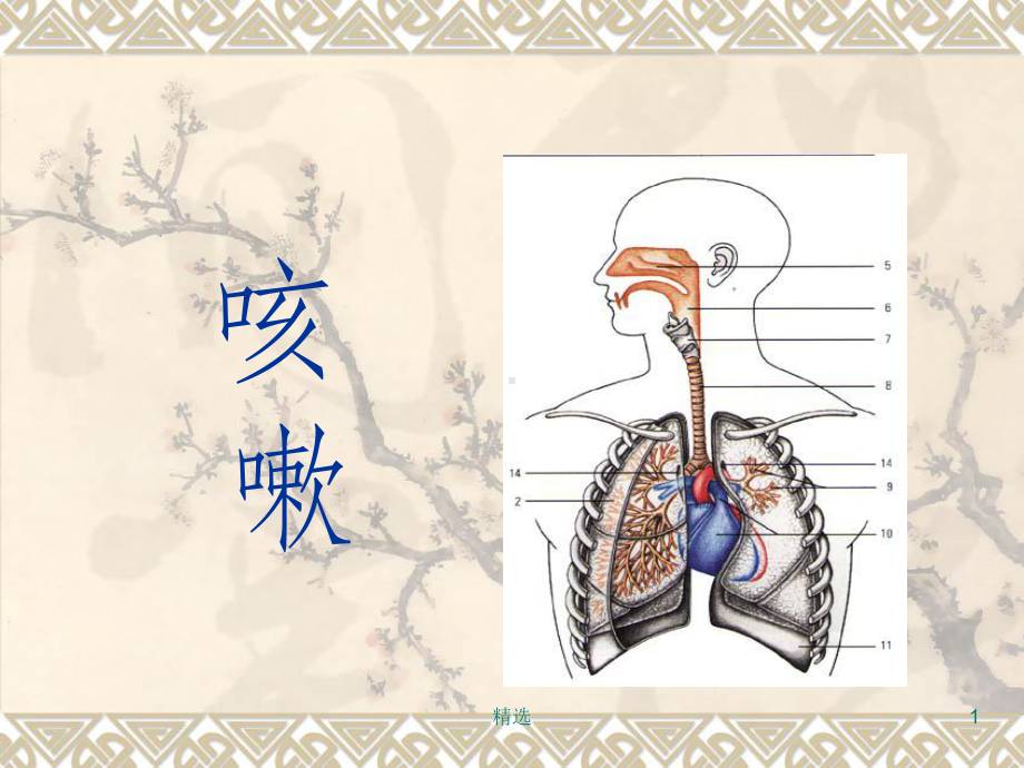 咳嗽完整PPT课件.ppt_第1页