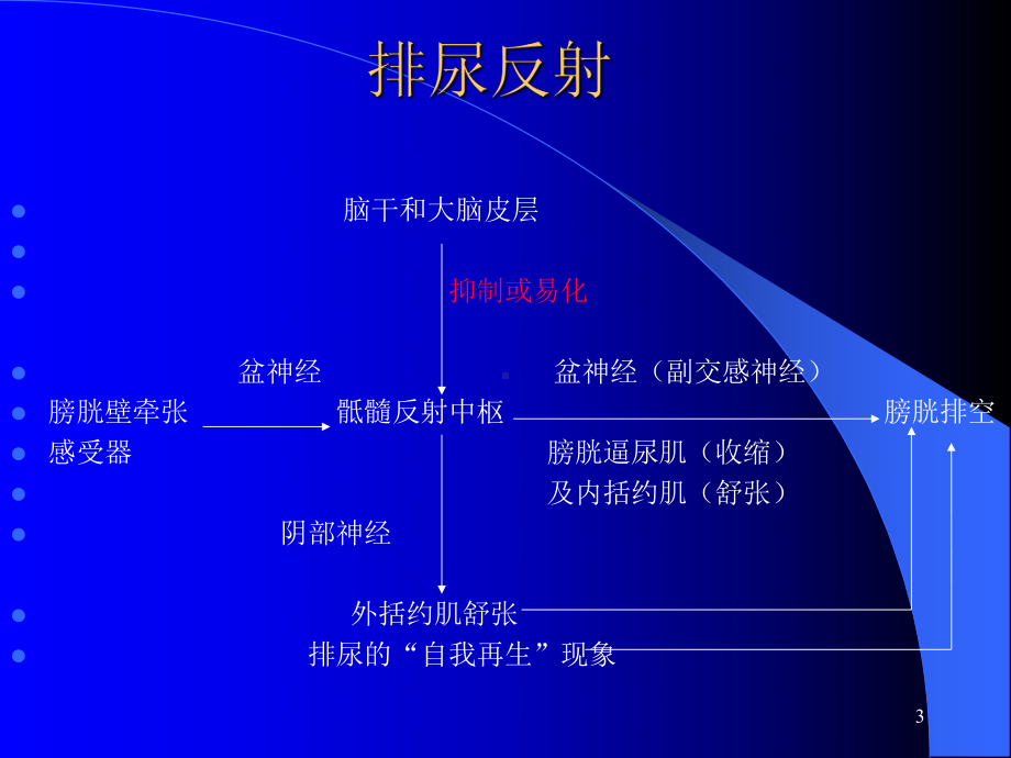 排尿障碍PPT课件.ppt_第3页