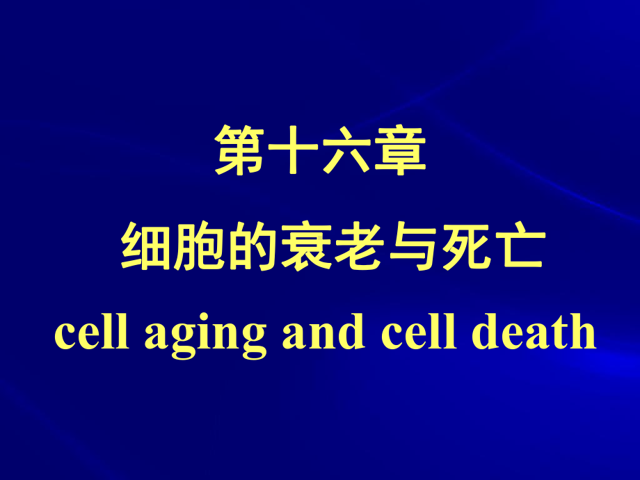 细胞的衰老与死亡-ppt课件.ppt_第2页