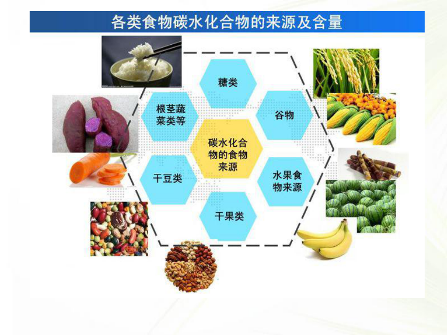 糖代谢(全套课件111P).ppt_第2页