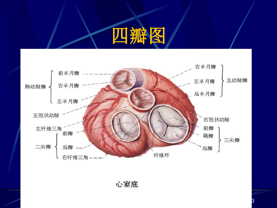 心包疾病PPT课件(同名640).ppt_第3页