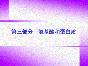 生物化学蛋白质-ppt课件.ppt