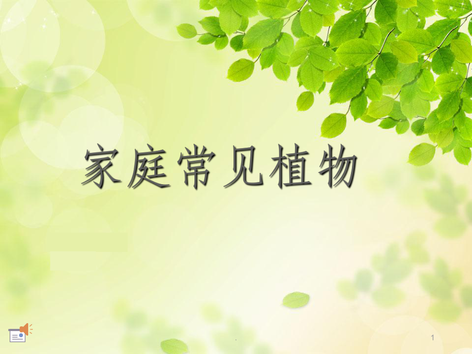 家庭常见植物ppt课件.ppt_第1页