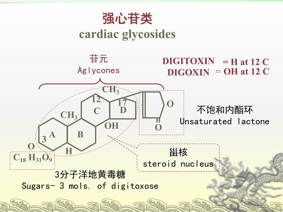 地高辛ppt课件.ppt_第2页