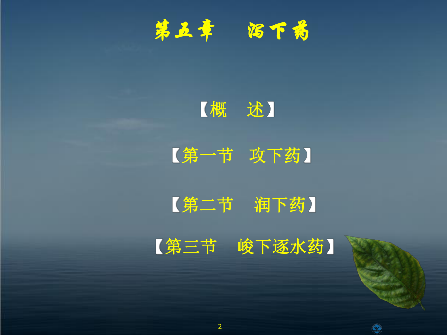 《中药学》泻下药-ppt课件.ppt_第2页