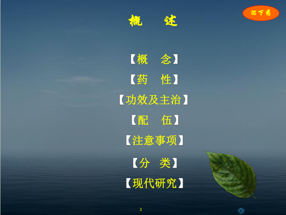 《中药学》泻下药-ppt课件.ppt_第3页