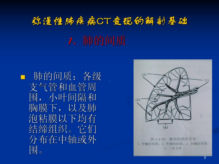 肺小叶ppt课件.ppt_第3页