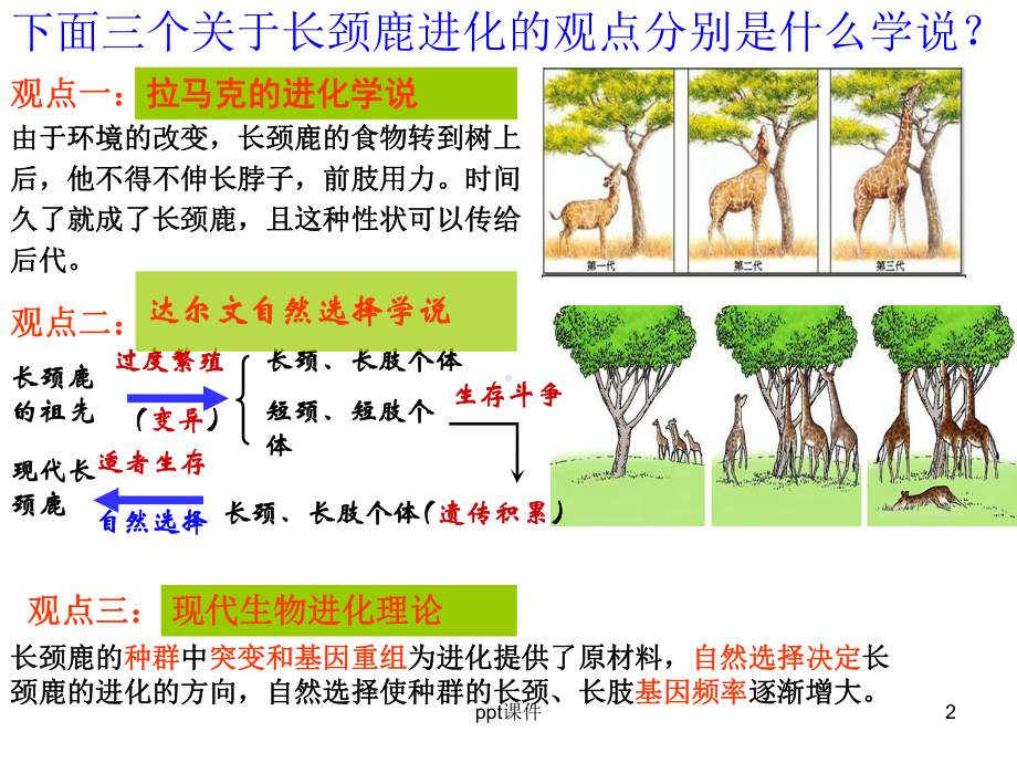 现代生物进化理论-一轮复习-ppt课件.ppt_第2页