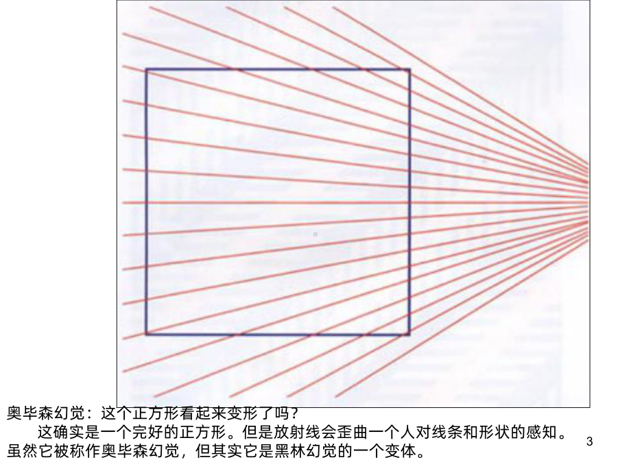 视觉错觉PPT课件.ppt_第3页