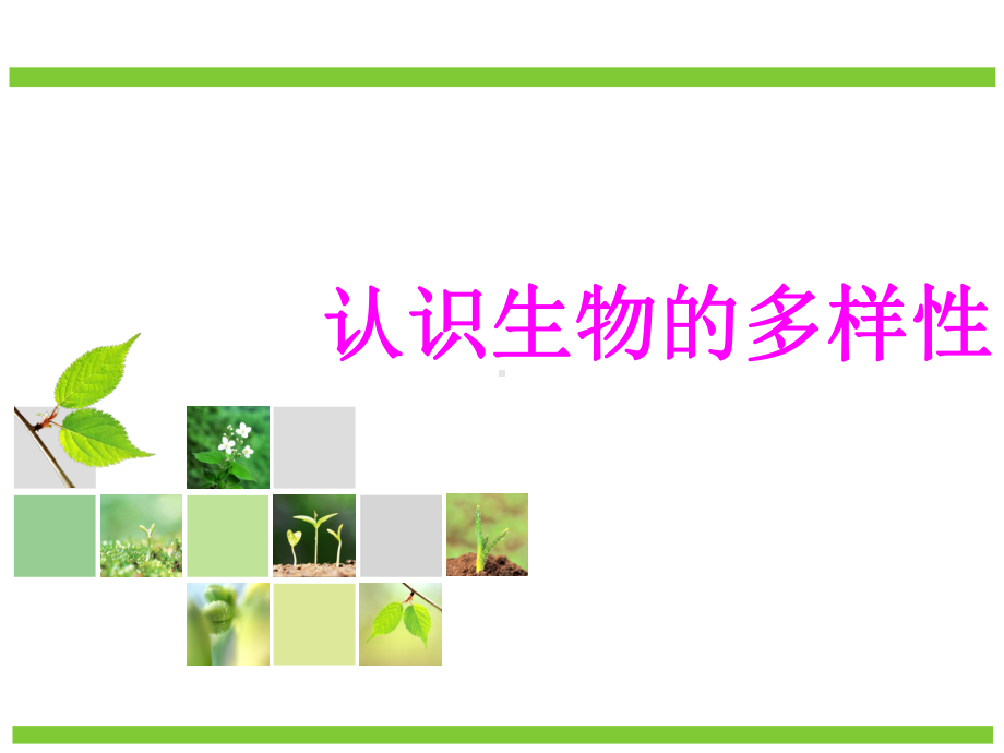 16认识保护生物多样性PPT课件.ppt_第1页