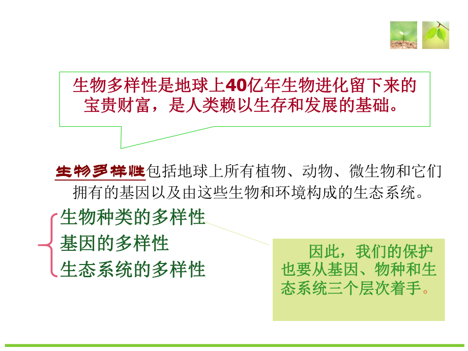 16认识保护生物多样性PPT课件.ppt_第3页