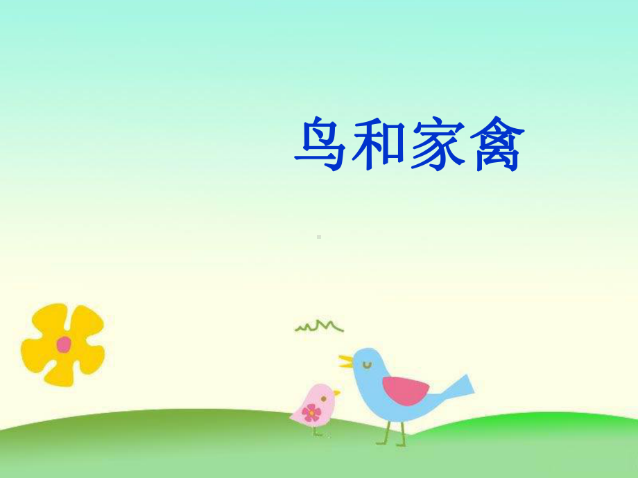 《鸟和家禽》课件.ppt_第1页