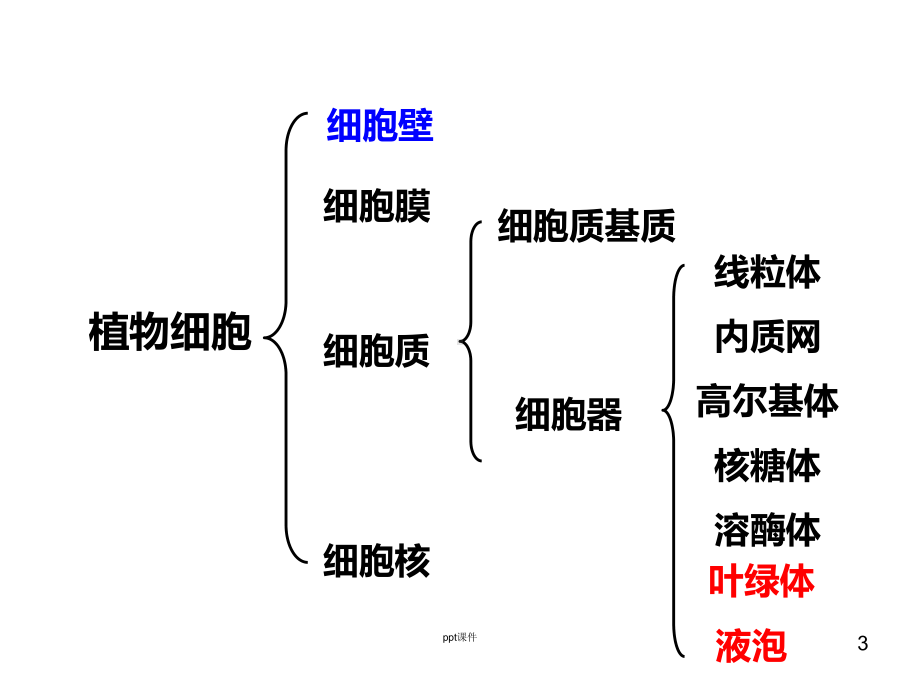 细胞器-系统内的分工合作-ppt课件.ppt_第3页