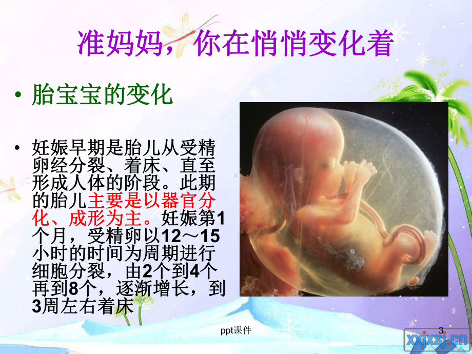 孕妇合理膳食-ppt课件.ppt_第3页