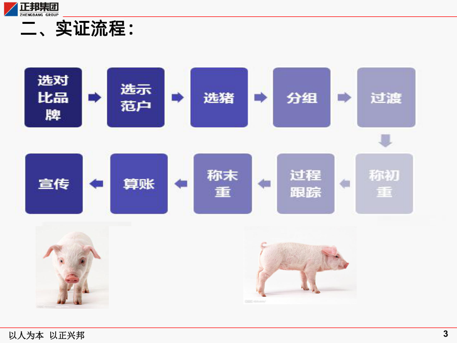 称猪实证作业指导书PPT课件.ppt_第3页