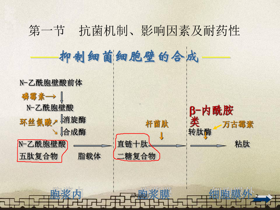 β内酰胺类抗生素-ppt课件.ppt_第2页