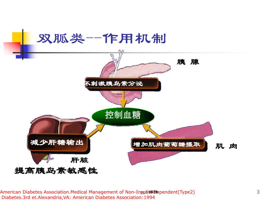 常用降糖药物-ppt课件.ppt_第3页