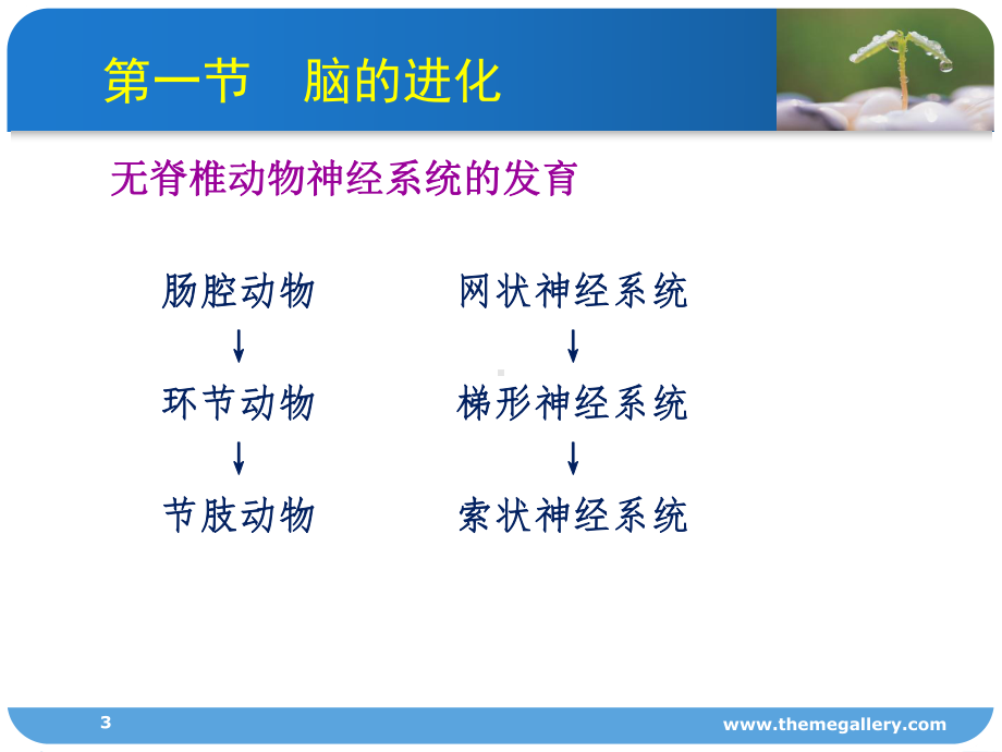 心理的神经生理机制PPT课件.ppt_第3页