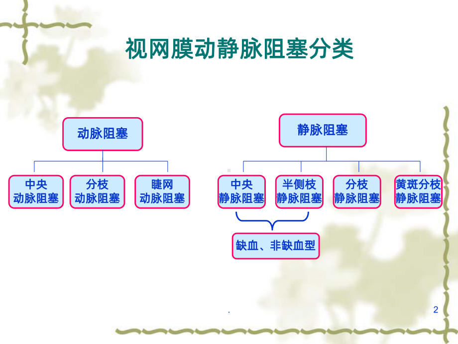 眼底课件.ppt_第2页