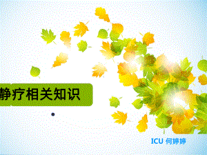 静疗PPT课件.ppt