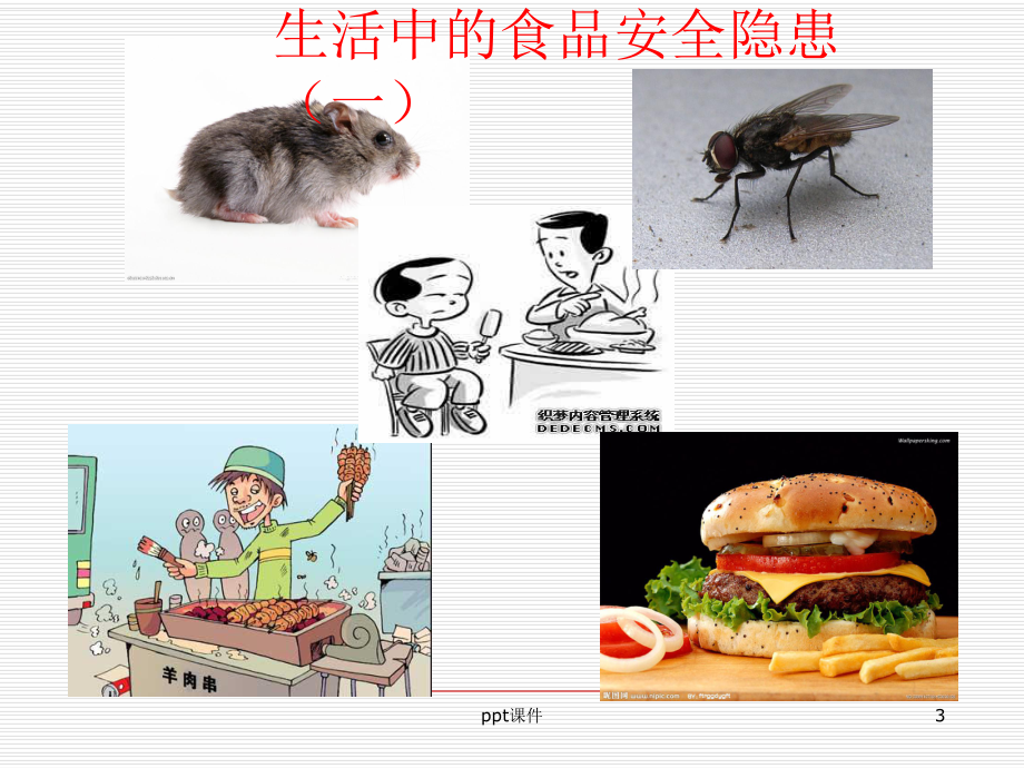 食品安全PPT课件.ppt_第3页