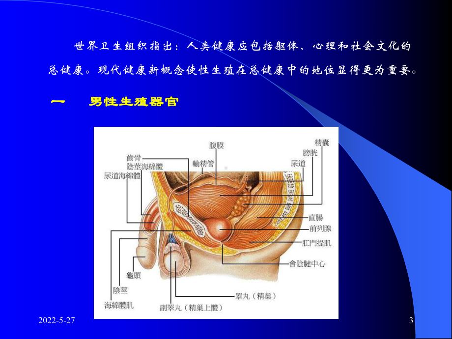 男性健康及关怀PPT课件.ppt_第3页