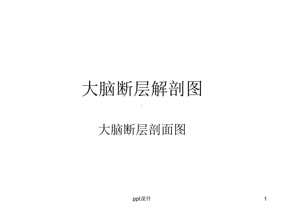 大脑结构图图例-ppt课件.ppt_第1页