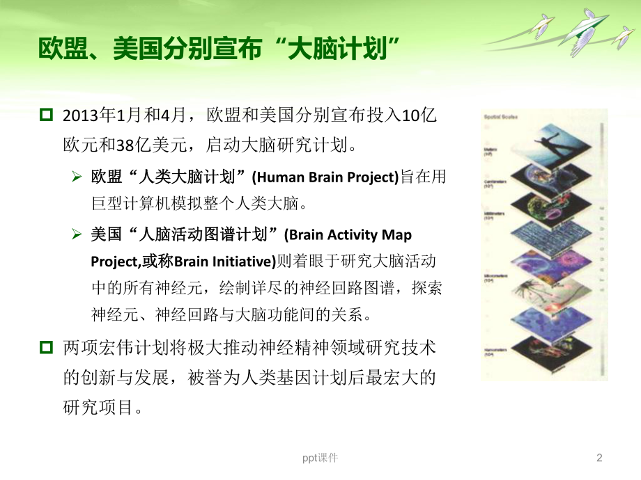 丁螺环酮改善精分患者认知功能-ppt课件.ppt_第2页