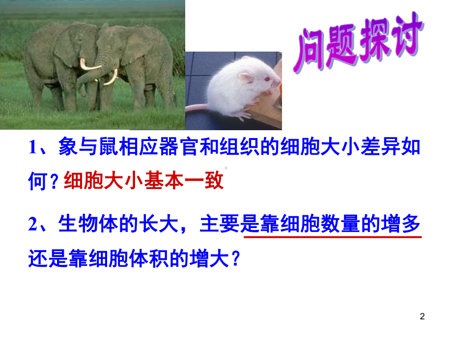 高中生物必修1细胞的增殖ppt课件.ppt_第2页