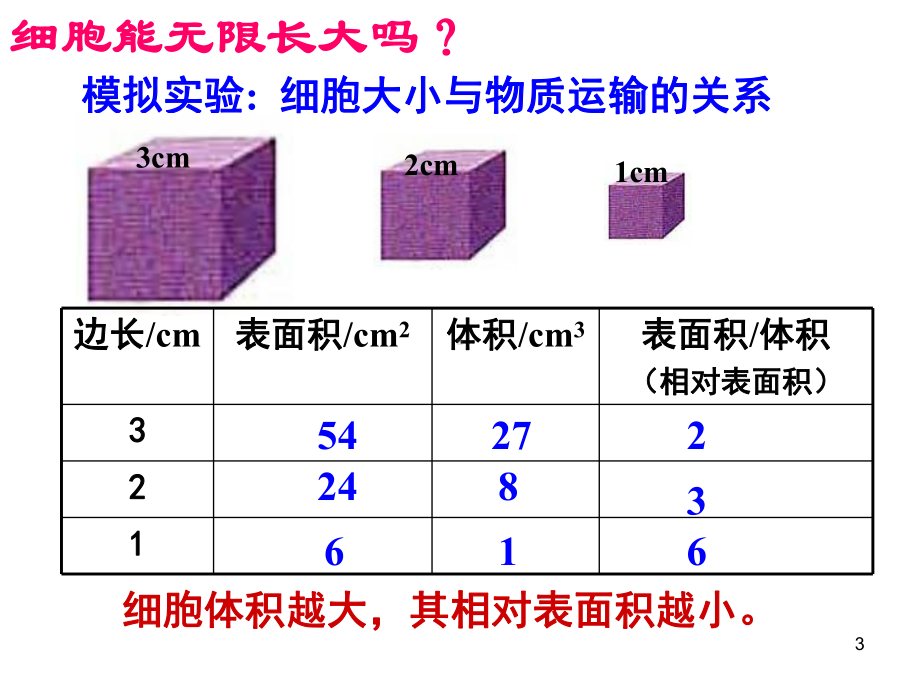 高中生物必修1细胞的增殖ppt课件.ppt_第3页