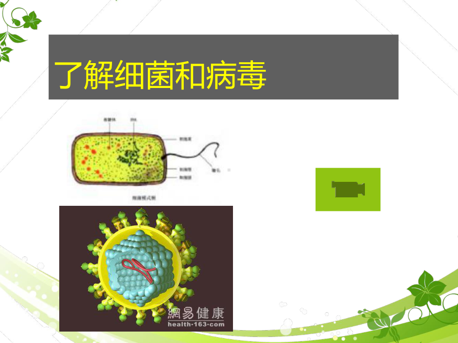 传染病-ppt课件.ppt_第1页