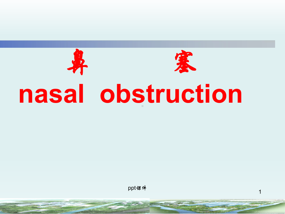 鼻塞-ppt课件.ppt_第1页